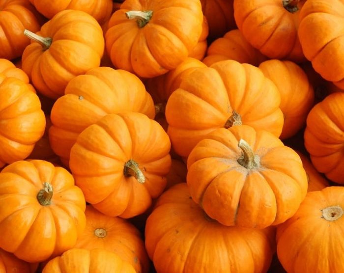 close-up-shot-fresh-pumpkins-min