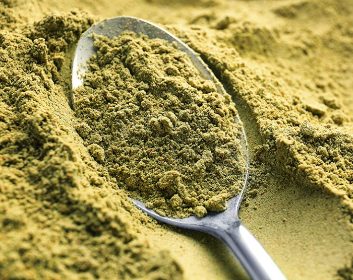 Metal spoon in hemp protein powder, closeup